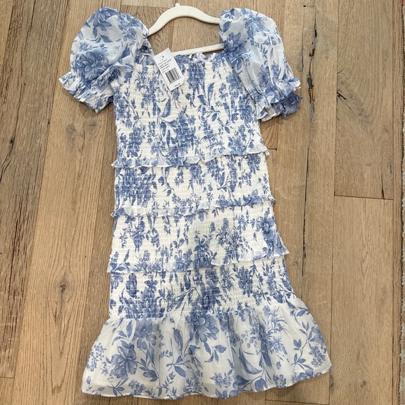 Saint Bernard’s dress!! - Picture 1 of 1